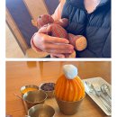 서호목장 | 제주도 3박4일 여행코스 제주공항부터 서귀포까지 실패 없었던 맛집 관광 카페 일정 (feat. 구자철 선수...