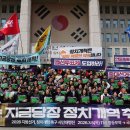 행정사법인 느티나무 이미지