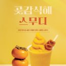 마이산힐링하우스앤카페
