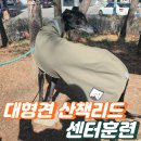 펫팔솔루션 | [강남 대형견 산책훈련] 체중으로 버티는 반려견, 힘이 아니라 '작용점'을 잠그세요
