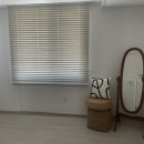 스테이소솜 이미지