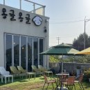 몽글몽글 애견유치원 이미지