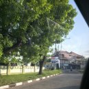 세마약국 | 발리 길리 배편 비교 총정리! 세마야원 vs 에카자야 탑승 후기 &amp; 멀미 꿀팁 (빠당바이 항구)