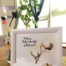 솜사랑 이미지