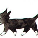 로잔동물의료센터 이미지