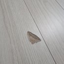 강마마분식집 | 강마루 까짐 집주인도 만족한 원상복구 후기