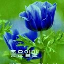 카카오독 이미지