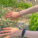 팔암농장 이미지