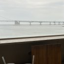 부산 광안리 카페 CUP&CUP 광안대교가 한눈에 보이는 통유리창 뷰 맛집 내돈내산 후기