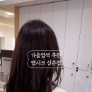 쌤시크 신촌점