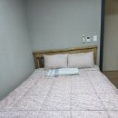 계룡산자연사박물관 | 계룡산펜션 찾는다면 여기! 공주 미강펜션에서 단체여행 제대로 즐긴 후기