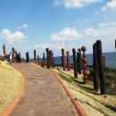 천곡목장 이미지