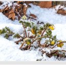 냉천공원 이미지