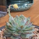 늘다봄의원 이미지