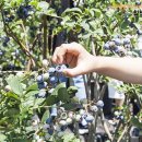 한우농가&고창장어 이미지