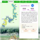 동강전기