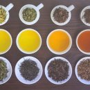 보이차&홍차 티 소믈리에 이미지