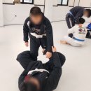 (주)레드비 | 초보자도 즐거운 천안 백석동, 성정동, 두정동주짓수 팀레드비 리얼 후기