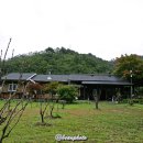 산골여행펜션 이미지