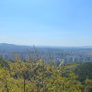 연기면_원수산MTB공원 이미지