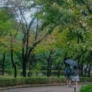 청솔한옥 이미지