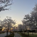 세종호수공원 제1주차장 이미지