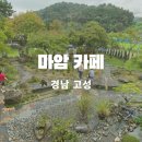 초록애견샵 | 고성 공룡엑스포 근처 카페 추천애견동반 가능한 마암카페