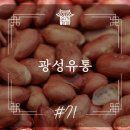 광성유통 - 화성시 | 광성유통