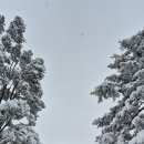 숭열전입구 | [첫눈 오는날 가고 싶은 곳] 환상적인 시베리아 설경 남한산성 남문-수어장대 겨울 첫눈 체험 후기