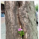 은행나무재가복지센터 네이버블로그