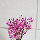 안단테스튜디오