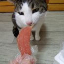 착한먹거리 이미지