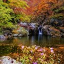 지리산국립공원 ‘지리산 터줏대감 김종관 유두류 사진전’ 특별전시회 이미지