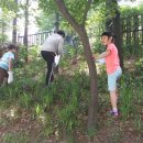 새숲공부방 이미지