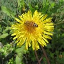 남정중학교 이미지