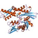 동구한의원 이미지