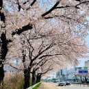 공운삼거리 네이버블로그