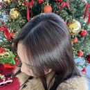 형제카세차 | 1월 일기장(上) | 붉은 돼지의 해로 만들어보자(유산소하면서올리는일상정리)