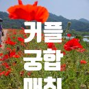 애플결혼정보 이미지