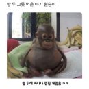 2025-1 기록🍀