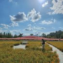 신소양체육공원화장실(주차장) 이미지