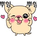 여수 스테이멍 애견펜션 이미지