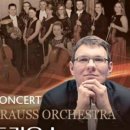 요한 스트라우스 챔버 오케스트라 이미지