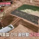 중산농원 이미지