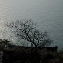 돌산도