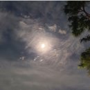 와인&칵테일 이미지