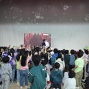 매교초등학교 이미지