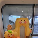 카카오 프렌즈 동대문 | 동대문 DDP 카카오 프렌즈 다녀온 후기