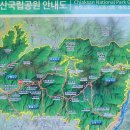 개두마리 소나무 | 치악산 등산코스 후기｜비로봉 최단코스 난이도·소요시간 완전 정리
