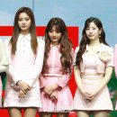 지효 카카오 검색결과